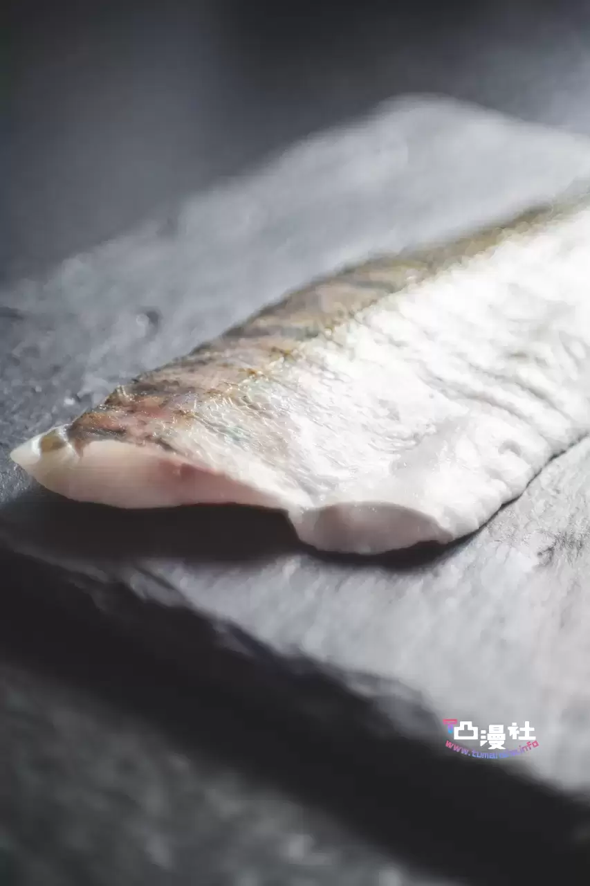 秋秋与鱼的独特故事